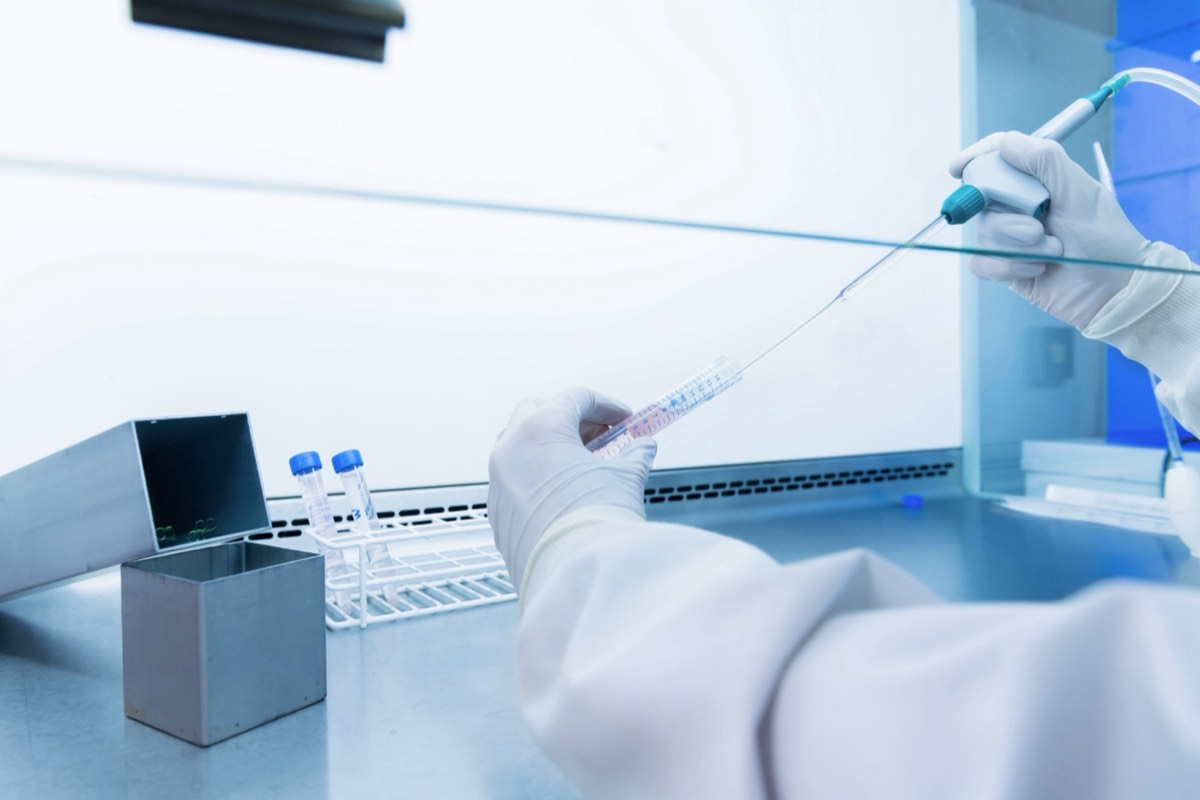 Researcher pipetting samples at a laboratory bench