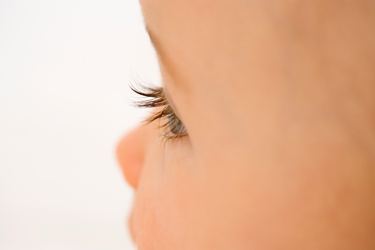 Close-up of an intraocular lens implant held with forceps